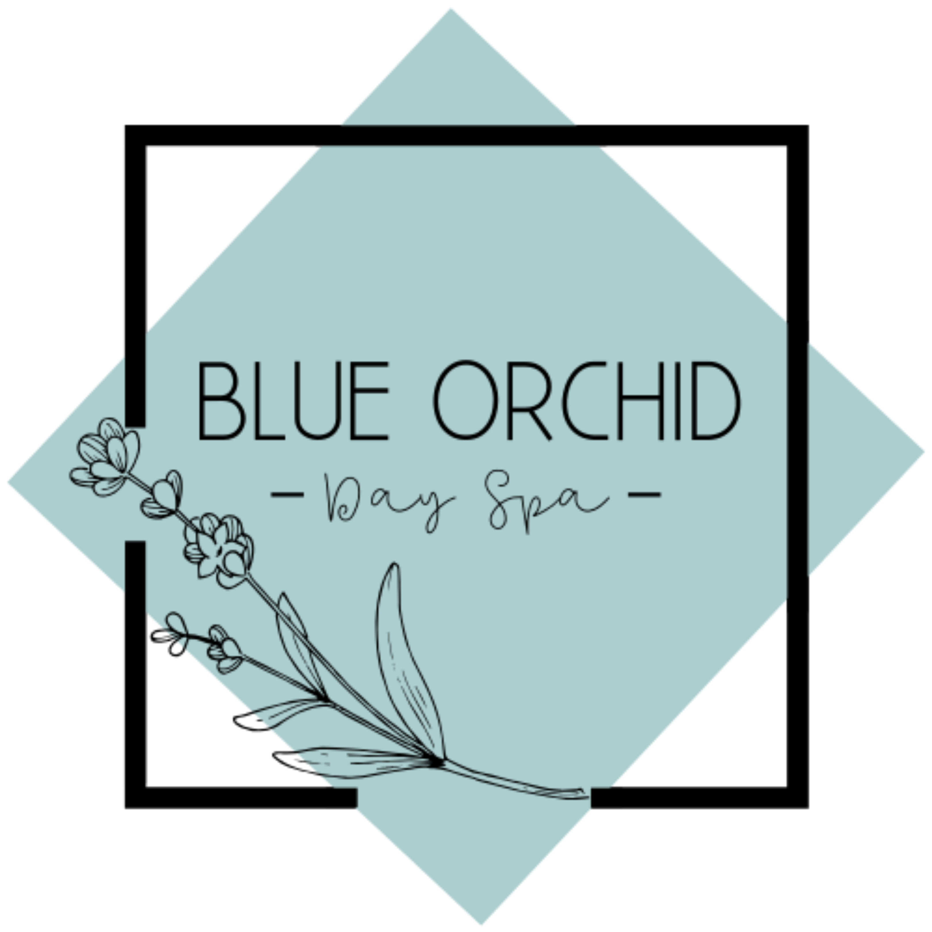 New blue haven orchid Couple brings